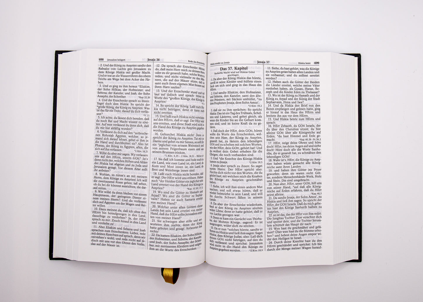 Luther 1545 Taschenbibel A&O Standardausgabe mit Kunstleder