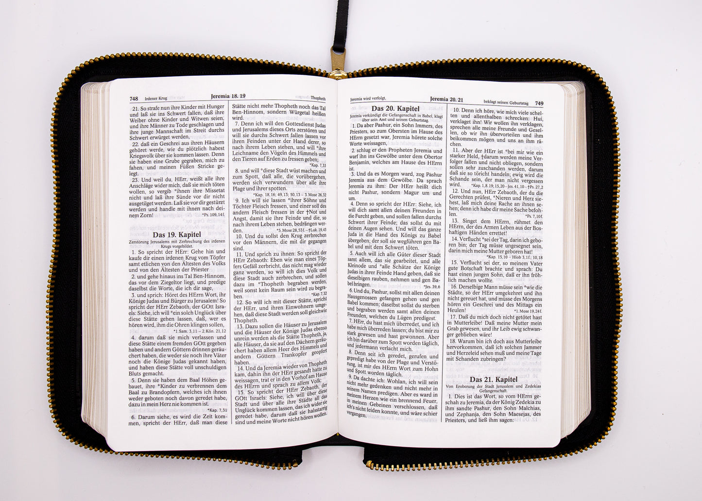 Luther 1545 Taschenbibel A&O Leder Goldschnitt & Reißverschluss