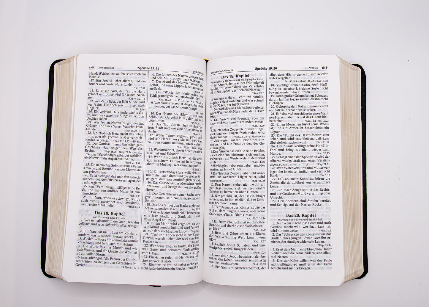 Luther 1545 Taschenbibel A&O Goldschnitt & flexiblem Deckel