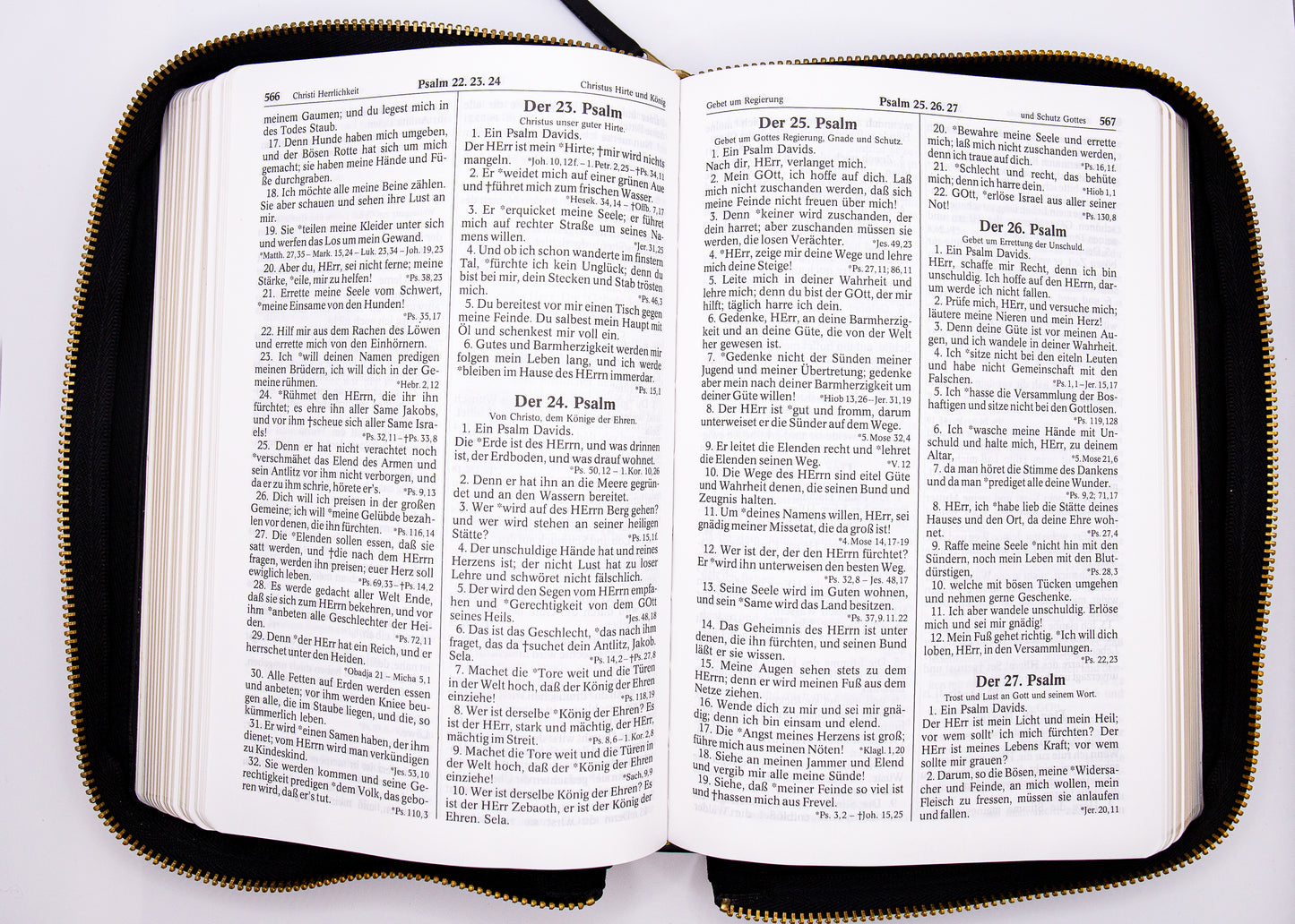 Luther 1545 Handbibel A&O Leder Goldschnitt & Reißverschluss