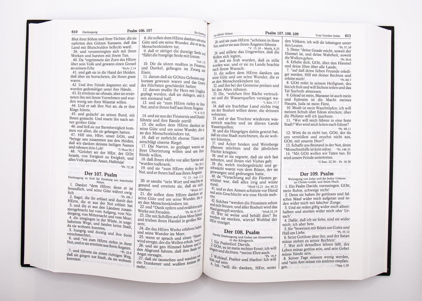 Luther 1545 Handbibel A&O Standardausgabe mit Kunstleder
