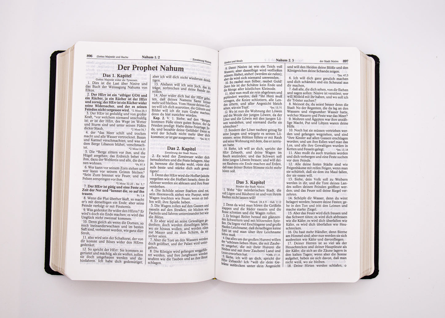 Luther 1545 Taschenbibel A&O Standardausgabe mit Kunstleder & Goldschnitt