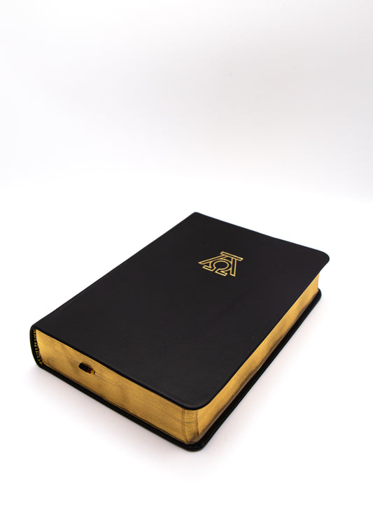 Luther 1545 Taschenbibel A&O Goldschnitt & flexiblem Deckel